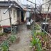 Berceni, Luica, teren cu casa de vanzare,